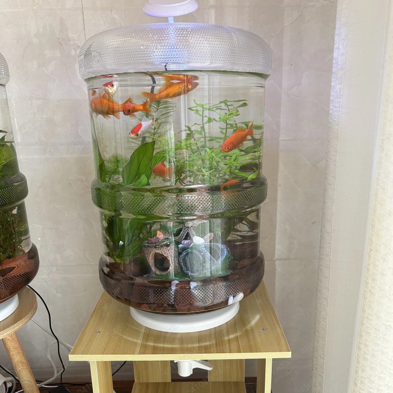 Réservoir de poissons domestiq - Aquarium Planted Tank Setup avis et prix