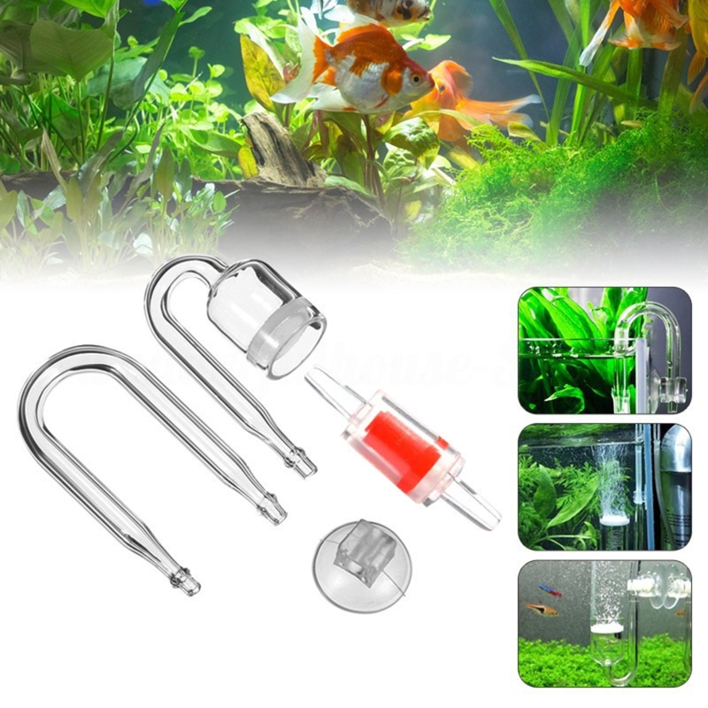 Diffuseur de CO2 pour aquarium - Planted Aquarium Co2 avis et prix