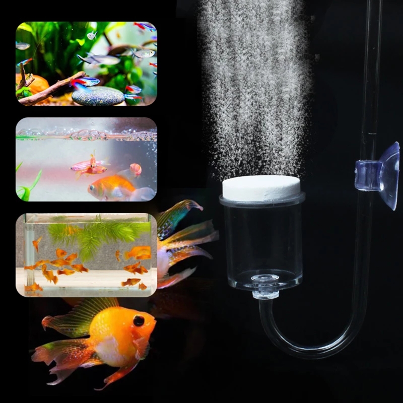 Diffuseur de CO2 pour aquarium - Planted Aquarium Co2 avis et prix