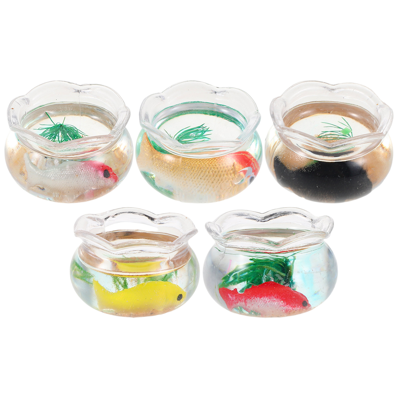 5 pièces de miniatures de pois - Aquarium For Planted Tank avis et prix