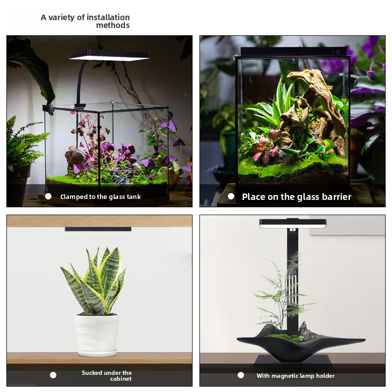 Semaine Aqua Mini9Pro pince ma - Planted Aquarium Jar avis et prix